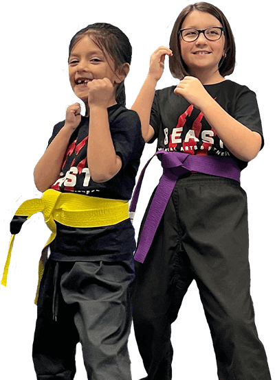 Beast Martial Arts & Fitness Oyster Bay, New York